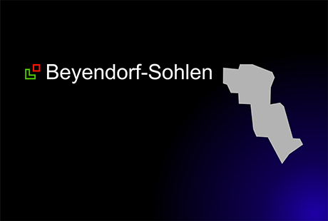 Beyendorf-Sohlen